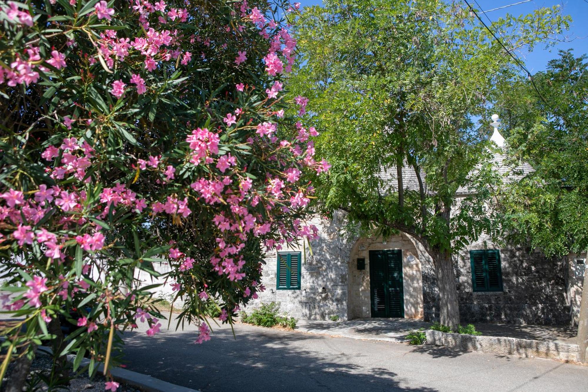 לוקורוטונדו Angolo Di Puglia מראה חיצוני תמונה